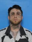 Booking photo of Christopher Ryan Nelson