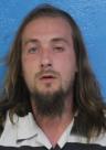 Booking photo of Austin Dakota Noel