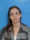Booking photo of Cindy Michelle Perkins