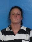 Booking photo of Janie Danielle Williams