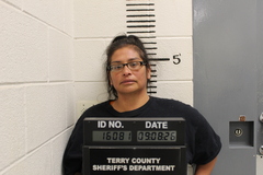Booking photo of Patricia Alvarado