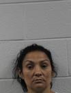 Booking photo of Crystal Marie Arnold