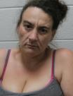 Booking photo of Jessica L Pipkin