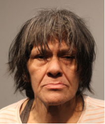 Booking photo of Lisa Ybarra
