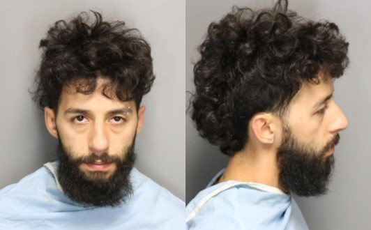 Booking photo of Luis A Torres-Rivera