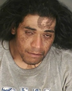 Booking photo of Chris E. Pulusila