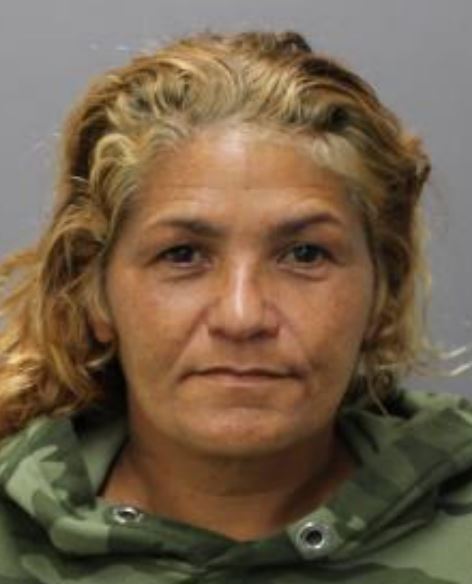Booking photo of Kristine Kaleohana