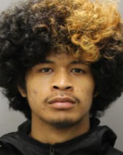 Booking photo of Logan Makaya