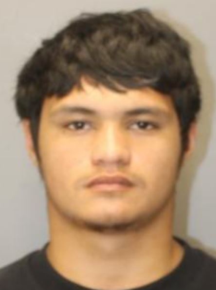 Booking photo of Lowen Puu