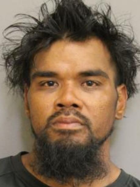 Booking photo of Paul Nikas