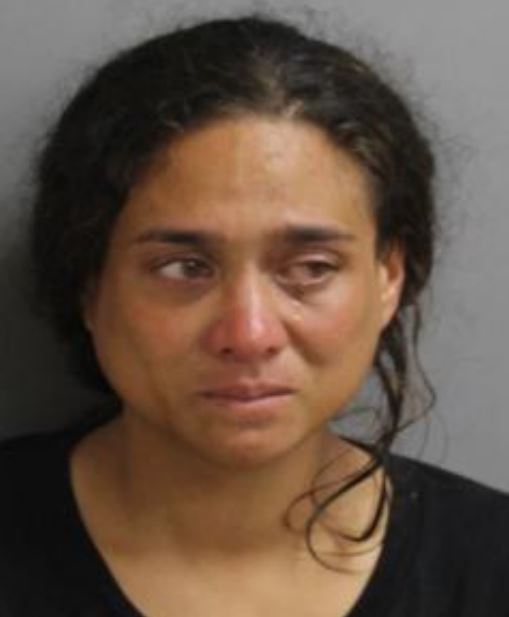 Booking photo of Shawvez Dupont
