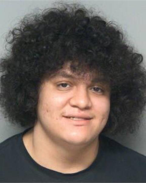 Booking photo of JESUS ADRIAN ALSTON