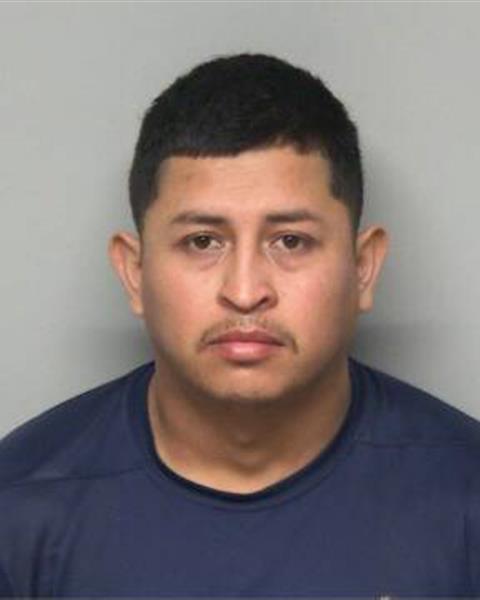 Booking photo of PEDRO ELIAS RAMIREZ