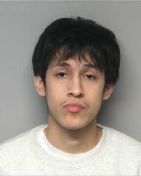 Booking photo of DJ GAEL RAMIREZ