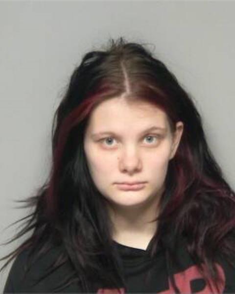 Booking photo of LYDIA FAITH TODD