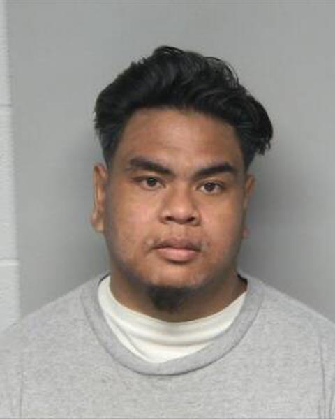 Booking photo of DAVID NMN MINGKHOUAN