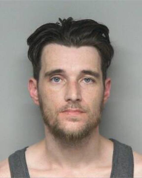 Booking photo of DUSTEN DALE HUDSON