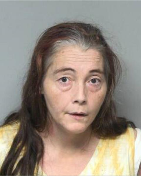 Booking photo of CAROLYN NOVELLE TROGDON