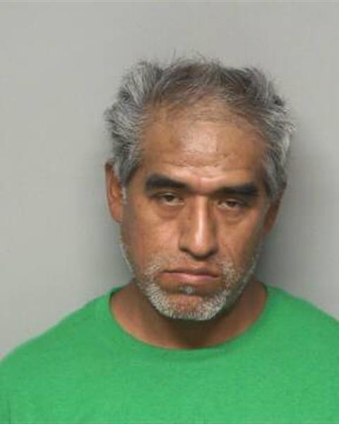 Booking photo of FIDEL POCHECO-CIRUNDARO