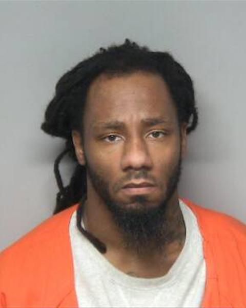 Booking photo of RYAN SAMUEL ROUSSEAU