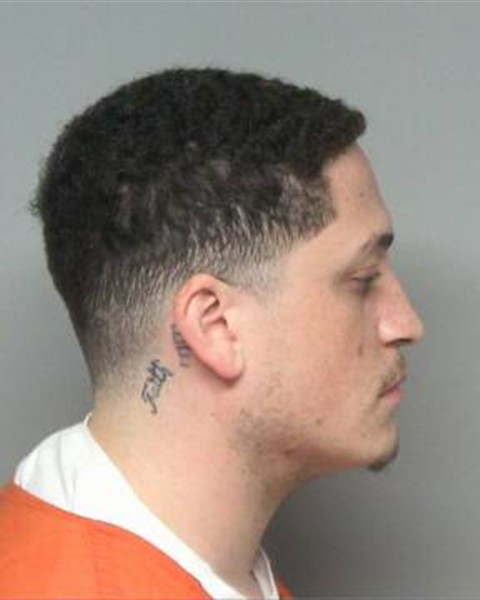 Booking photo of ALAN MICHAEL RITCHWOOD
