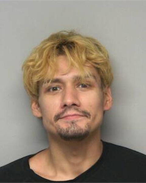 Booking photo of JORGE LUCAS FRITTS