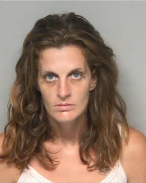Booking photo of STEPHANIE LEE KING