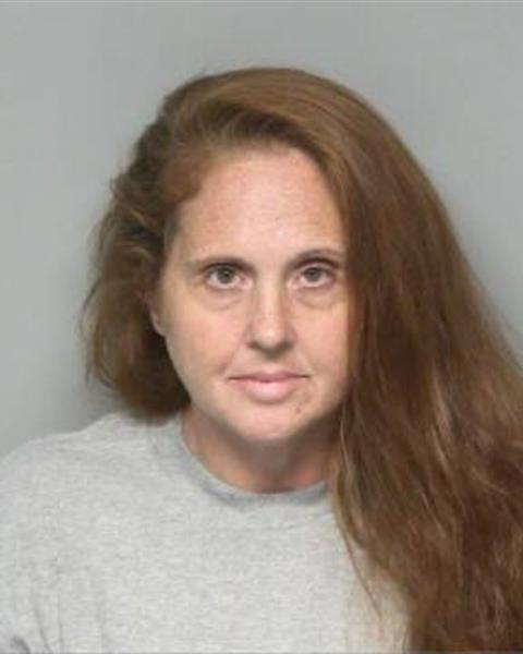 Booking photo of ANDREA RAE JONES BROOKS