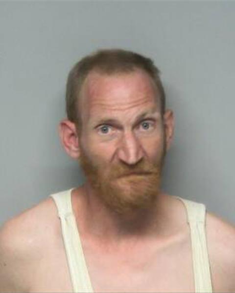 Booking photo of MICHAEL ANDREW SWAIN