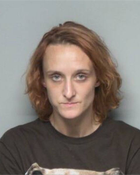 Booking photo of CRYSTAL ANN WILKINS