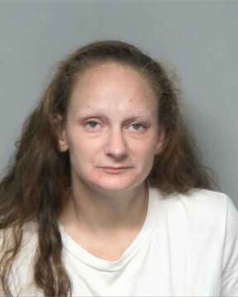 Booking photo of ERICA NICOLE HARMON
