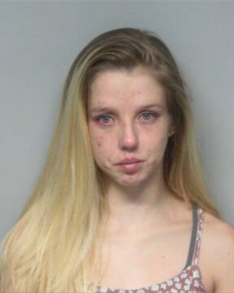 Booking photo of HANNA FAITH SHANKEL
