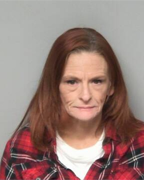 Booking photo of MELISSA DAWN FOGLEMAN